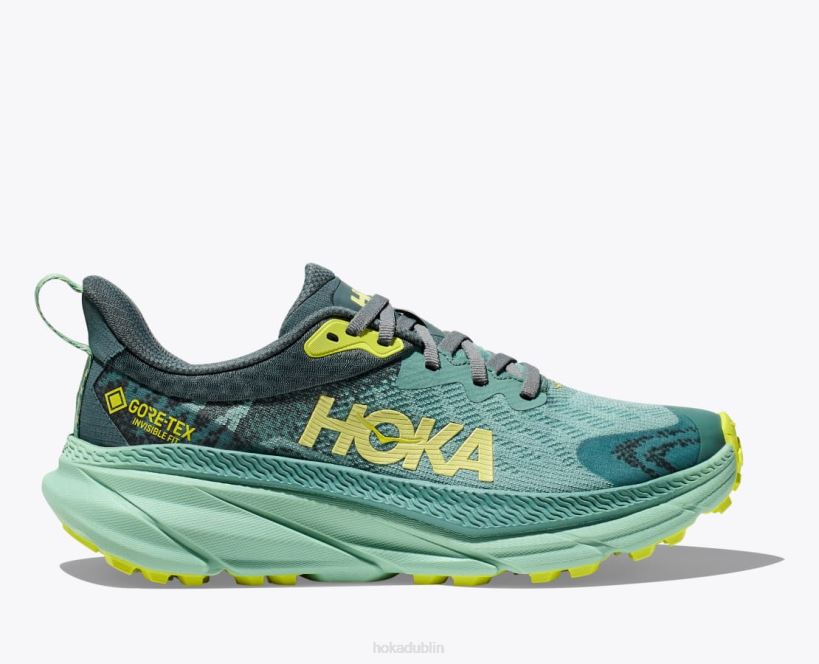 VLP894 Hoka Women Challenger 7 GTX Trellis/Balsam Green