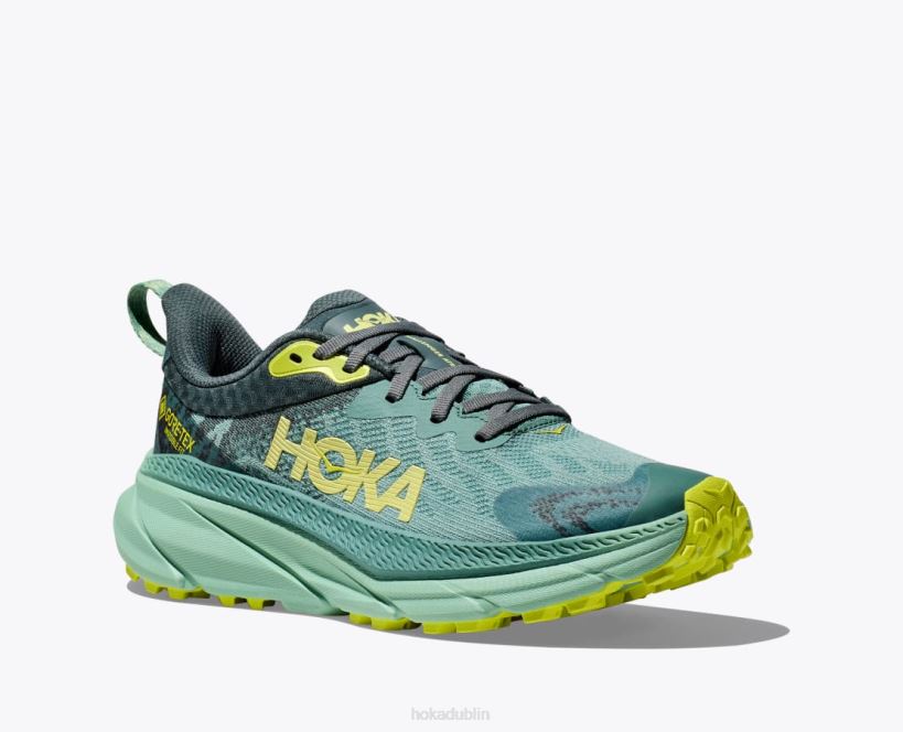 VLP894 Hoka Women Challenger 7 GTX Trellis/Balsam Green